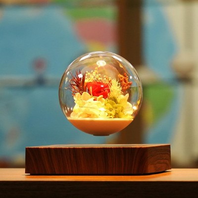 Magnetic Levitation Preserved Flower, Forever Real Eternal Roses, Floating La...