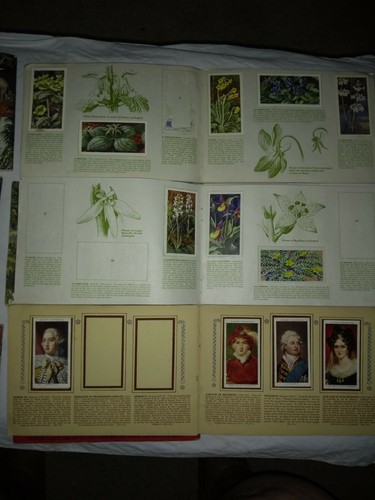 Brooke Bond Tea & John Player Cigarette Cards - Picture 5 of 5