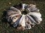 featherswithlove