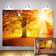 Gold Autumn Cool Sunset Backdrop Fall Thanksgiving Party House Decoration Supply