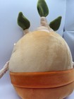 Harry Potter Squishmallows 8” Inch Screaming Mandrake Root Tree — photo 7