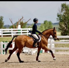 Equifit Eq Boots Used 2-3 Times 