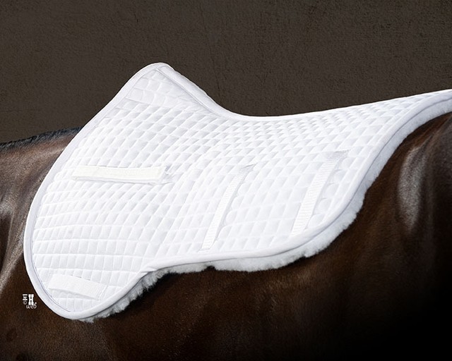 English Show Pad eBay