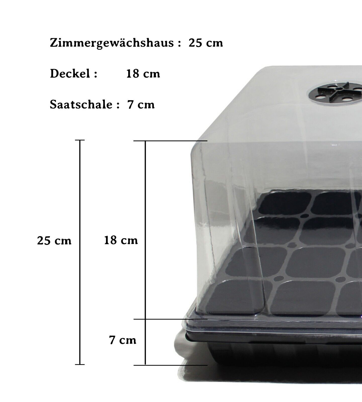 Bild 4 von 9