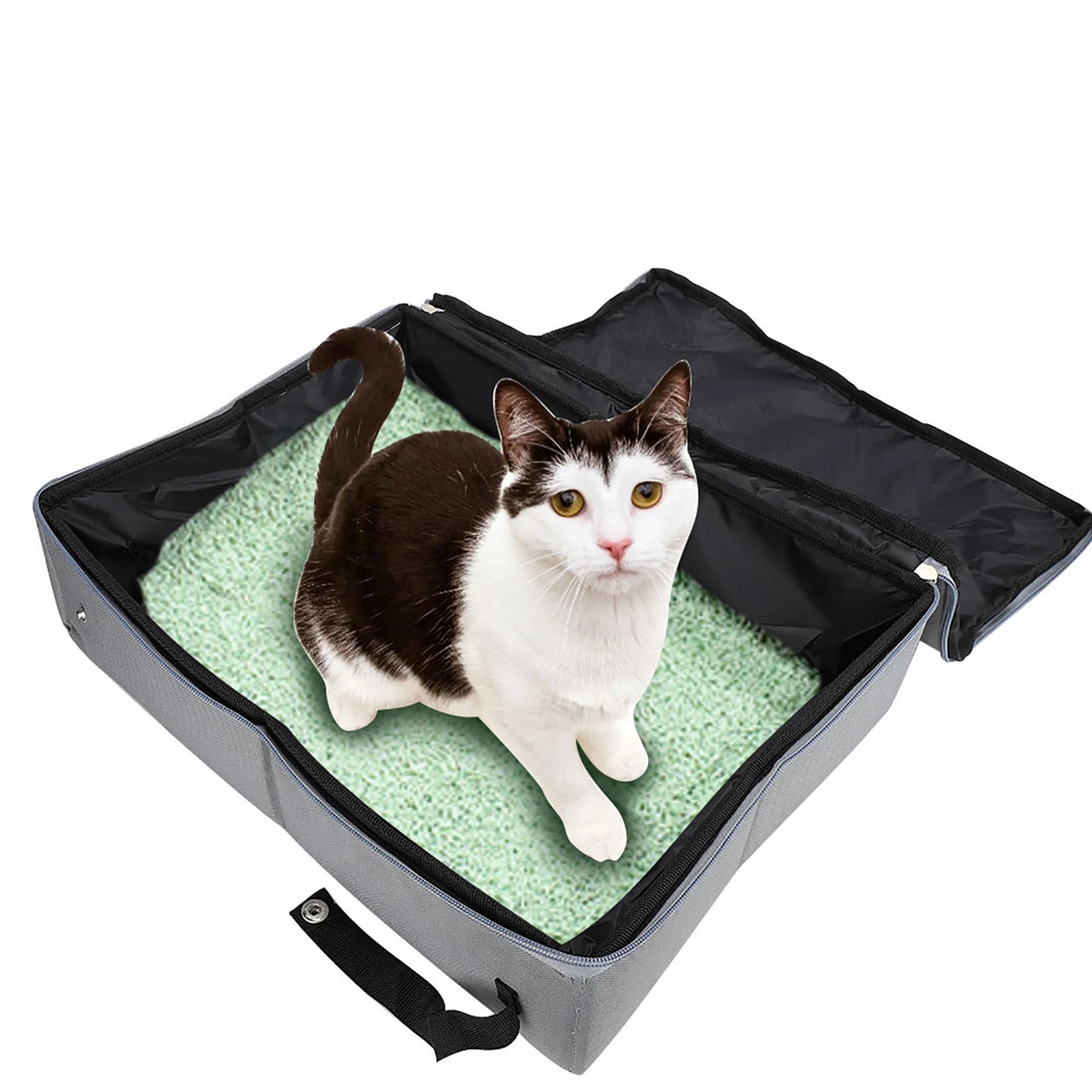 Cat litter top for portable toilet