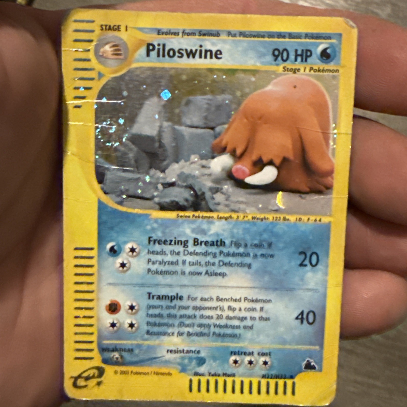 Piloswine H22/H32 Skyridge Holo Rare Pokemon Card - Swirl HP ROUGH