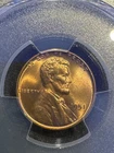 1951 1C LINCOLN WHEAT PCGS MS65RD