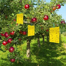 Fruit Flies Trap Sticky Fly Glue Yellow Paper Trap Insect Mosquitoes Pest Catch