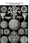 Plate 9 Hexacoralla, Coral (Ernst Haeckel) 200 Page Lined Journal: (Artforms of Nature 1904) Blank 100 Page Lined Journal for Your Thoughts, Ideas, and Inspiration by Jmm Shepperd (Paperback / softback, 2014)