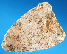 Very Fine Authentic Archaic Blade Jefferson Co KY with SCA COA Arrowheads