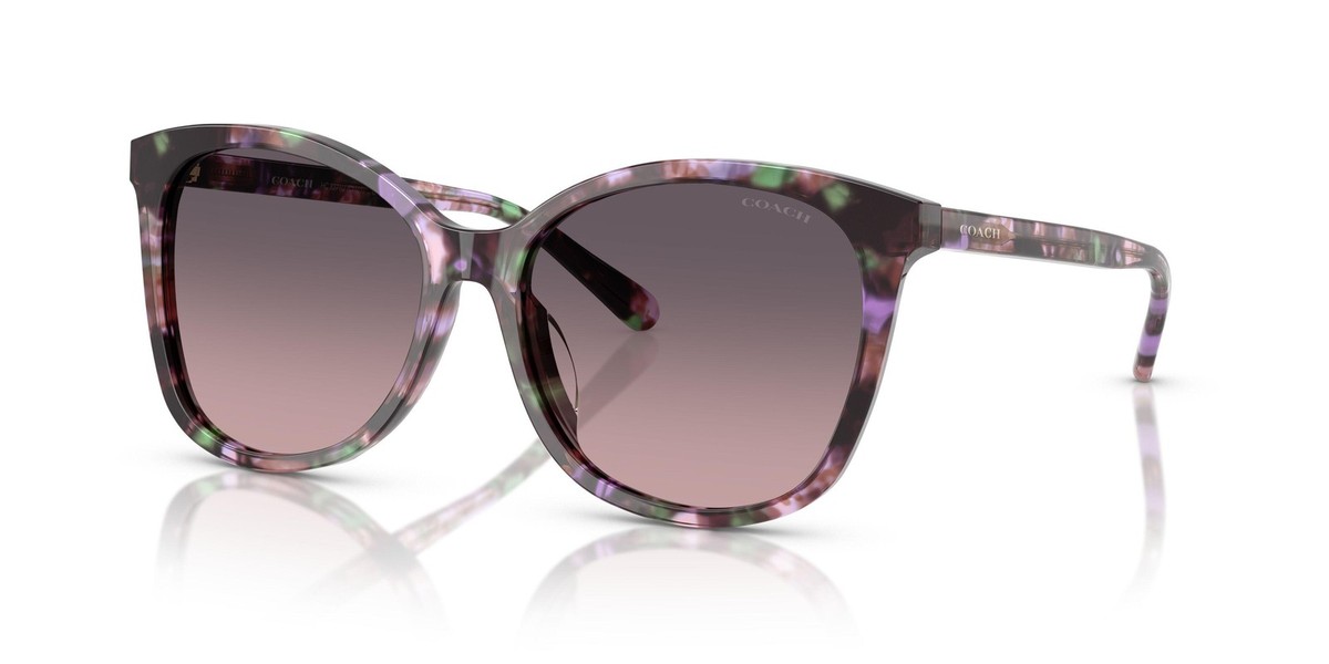 Coach Sunglasses 0Hc8271U Women