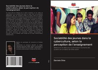 Sociabilité Des Jeunes Dans La Cyberculture, Selon La Perception De...