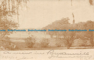 R117638 Alte Postkarte. Bäume und Felder