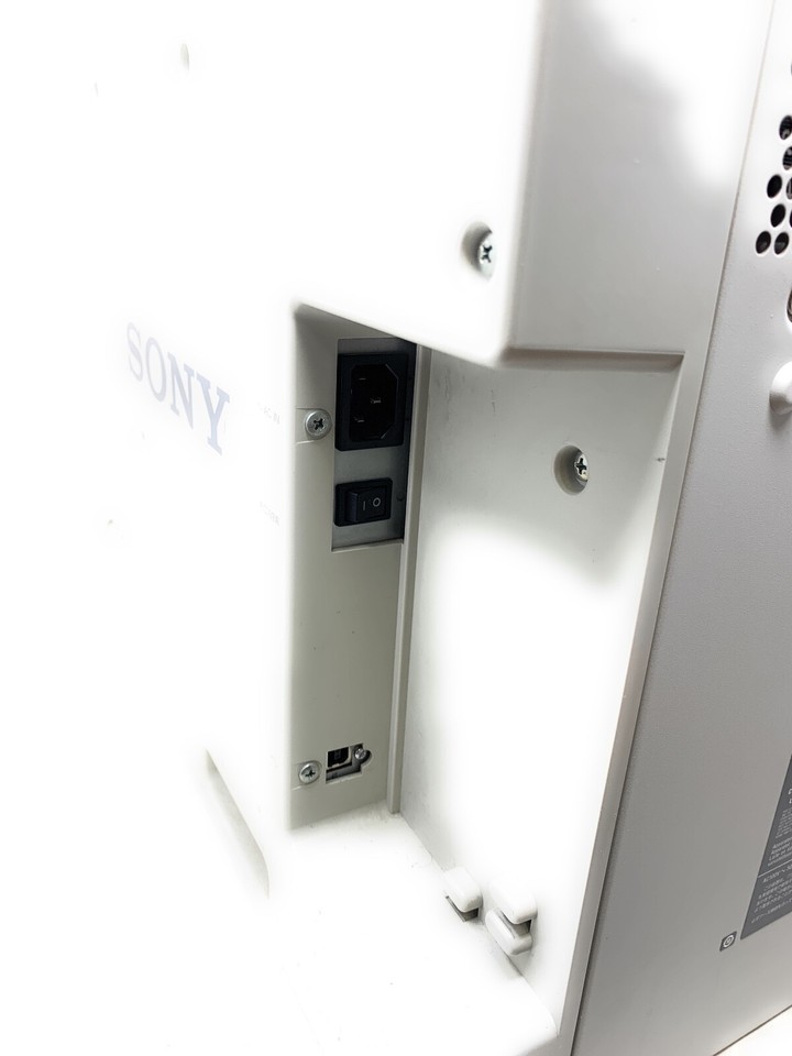 Sony Professional Photo Printer UPDR150 eBay