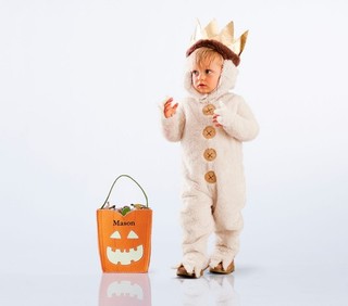 EUC POTTERY BARN KIDS 12 24 MONTHS WHERE THE WILD THINGS ARE MAX COSTUME