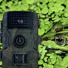Trail Camera Deer Camera Mini 1920x1080P 12MP 1080 Scouting cam for Garden Farm