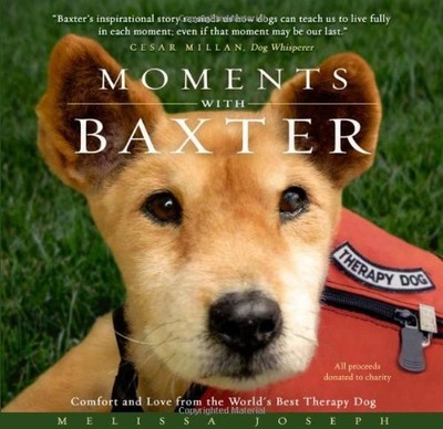 Moments with Baxter: Comfort and Lo..., Joseph, Melissa