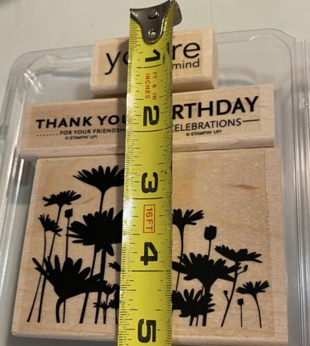 Stampin’ Up! Upsy Daisy Set Of 4 Stamps Daisies & Mixed Phrases - Picture 2 of 10