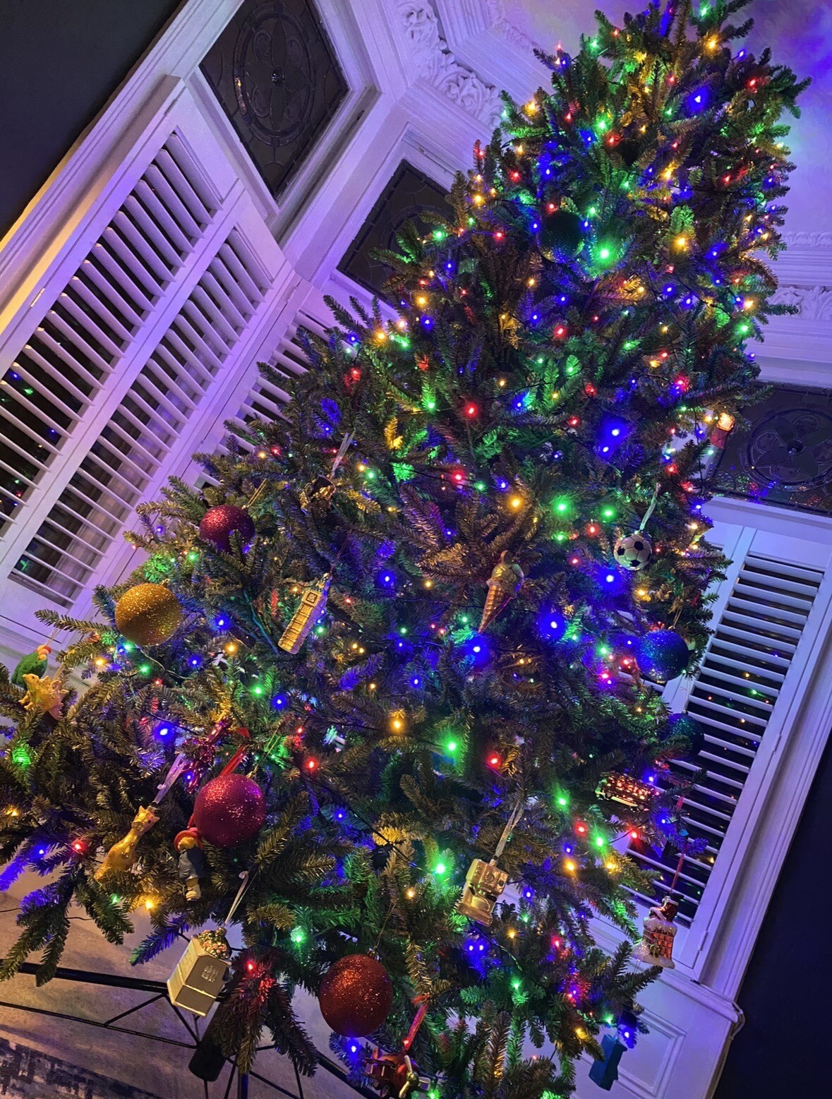 Balsam Hill Christmas Tree 12FEET! Unlit. Used Once! RRP £1199! eBay