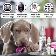 Weimaraner Relax Dog Aromatherapy Calms Anxious Stressed Scared Dog Naturally