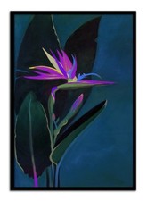 Fiori Dipinto Modern-ölgemälde con Telaio 53x73cm Wanddeko Murale G100787