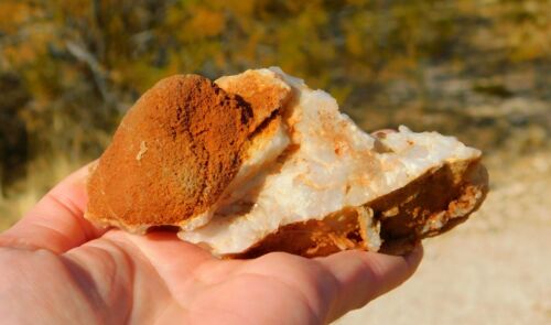 Clear Quartz Crystal Cluster Vein from Arkansas Energy Healing for All Chakras - Picture 11 of 12