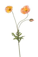 Artplants Kunst Zweig Mohnblume Schunra, Pfirsich, 75Cm