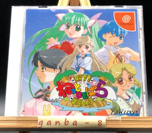 Para Paradise | eBay