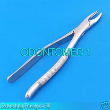 EXTRACTING FORCEPS #38 DENTAL SURGICAL INSTRUMENTS 