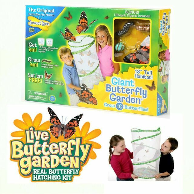 Insect Lore Giant Butterfly Garden 01070 For Sale Online Ebay