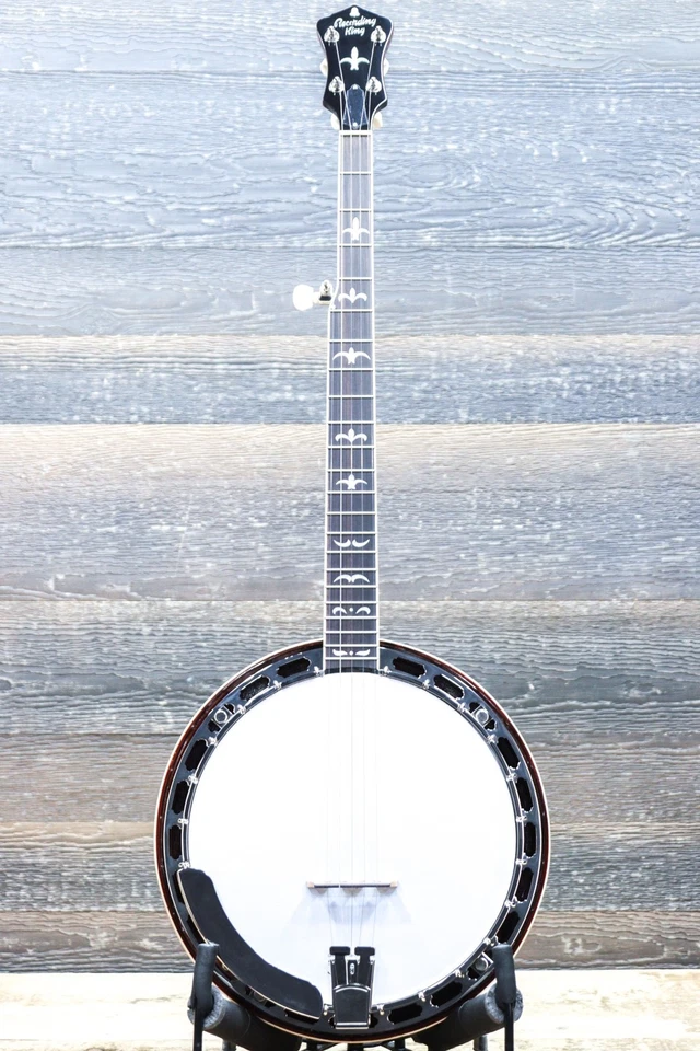 Recording King RK-R36-BR Madison Mahogany Resonator 5-String Banjo Brown Gloss - Image 2 of 4