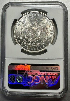 GMFN200B○domani / ドマーニ Morganton モーガントン GMHN91○domani / ドマーニ Morganton モーガントン サイ GMHN91