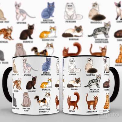 Cat Breeds Novelty Mug Scottish Fold Abyssinian Persian Maine