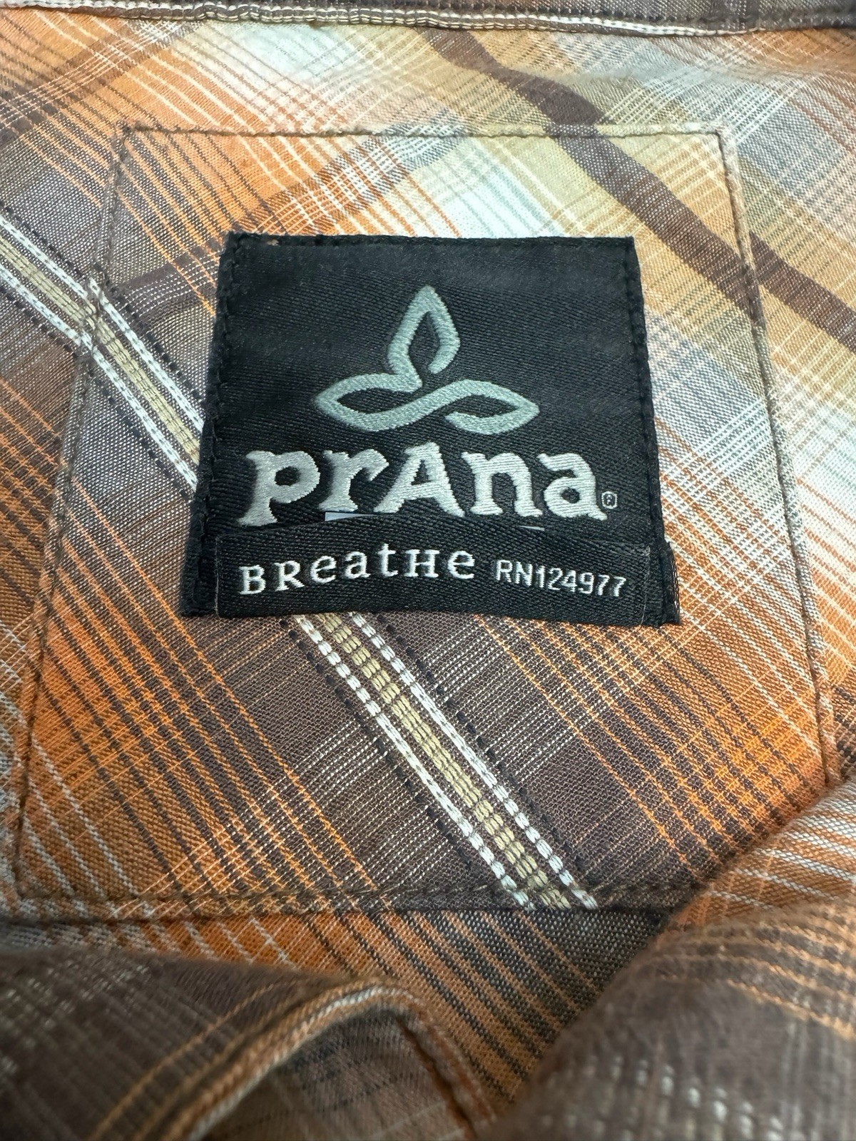 Picture 5 of 11
