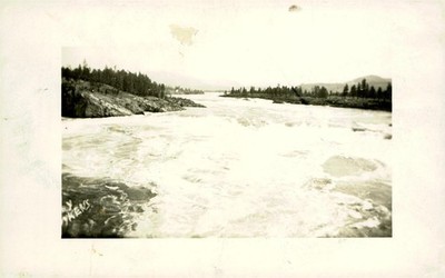 River Rapids and Forested Banks, c1920, RPPC, Y KENS, Nature, Postcard