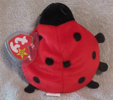 Ty Beanie Baby Lucky the Ladybug DOB May 1, 1995  MWMT Free Shipping