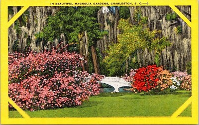 Magnolia Gardens Charleston SC South Carolina Bridge Postcard UNP EC Kropp VTG
