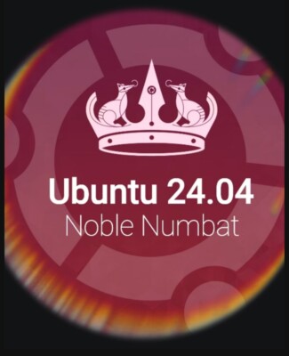 Ubuntu Linux 24.04(August 2024) BOOTABLE/LIVE Install Disc Made In USA