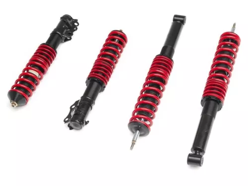 Raceland Classic Coilovers for Volkswagen Golf GTI MK3 (93-99) LIFETIME WARRANTY