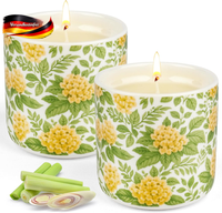 Outdoor Citronella Kerze 240 Std Brenndauer, 2Er Set, NatüRliche Sojawachs, Balk