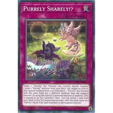 MP24-EN383 Purrely Sharely!? : Common Card : 1st Edition : YuGiOh TCG