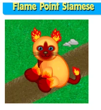 Webkinz flame point siamese pet CODE ONLY, SALE TODAY!