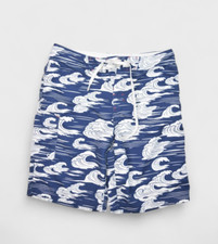 Nike Shorts Mens 31 Board Beach Swim Trunks Wave Print Surf Unlined