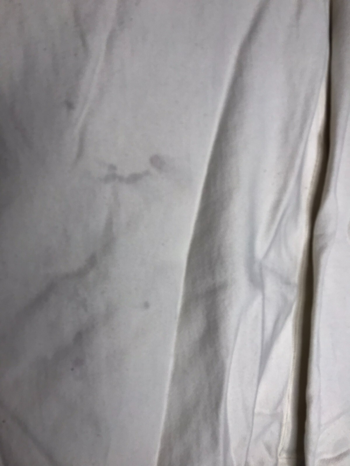 Champion Skull Shift Knobs Graphic Reverse Weave … - image 8