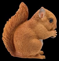 Gartenfigur EichhöRnchen - SüßEs EichhöRnchenbaby - Hotant Gartendeko Tier 12 Cm