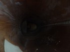 Picture 15 of 20