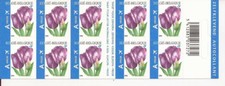 Belgium - Booklet - 2006 - COB B66** - SCOTT 2160a - Rembrandt Tulips - MNH -