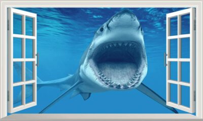 Ozean Weißer Hai 3D magisches Fenster Wandbild selbstklebendes Vinyl Poster V1