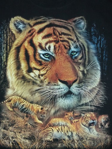RARISSIMA T-SHIRT ROCK CHANG TG XL TIGER PRINT FRONTE/RETRO STYLE USA 90'S CLASS - Foto 5 di 8