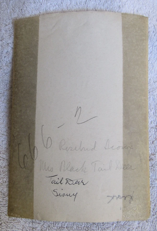 Fotografía fotográfica vintage de ciervo cola negra mujer india sioux de Pine Ridge Foto 2 de 3